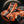Copperhead 427
