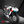 Arctic Pulse