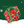 Winter Vault Gift Box