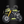 Combat Racer