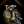 Gold Rush