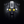 Night Hornet
