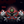 Crimson Havoc