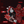 Crimson Havoc