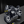 Night Hornet