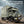 Overlander 6x6