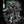 Warbound Omega